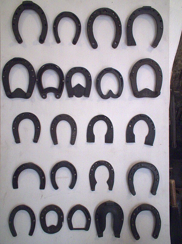 Various types of shoes are available to alter forces placed on the hoof and lower leg.