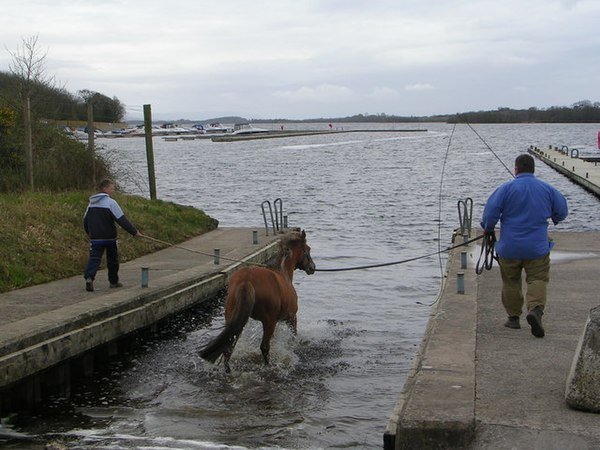 Swimming is a common rehabilitation method.